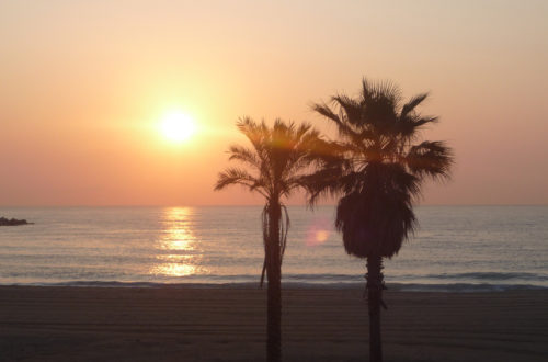 barcelona barceloneta praia