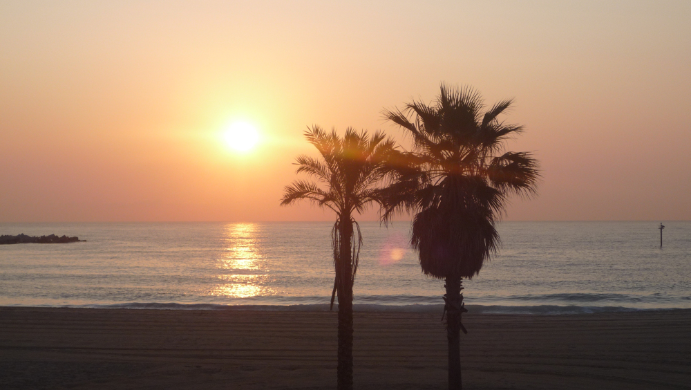 barcelona barceloneta praia