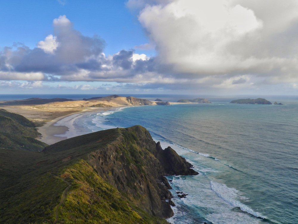 cape reigna nova zelandia