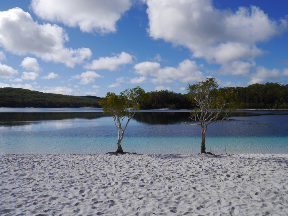 lago mckenzie lake australia