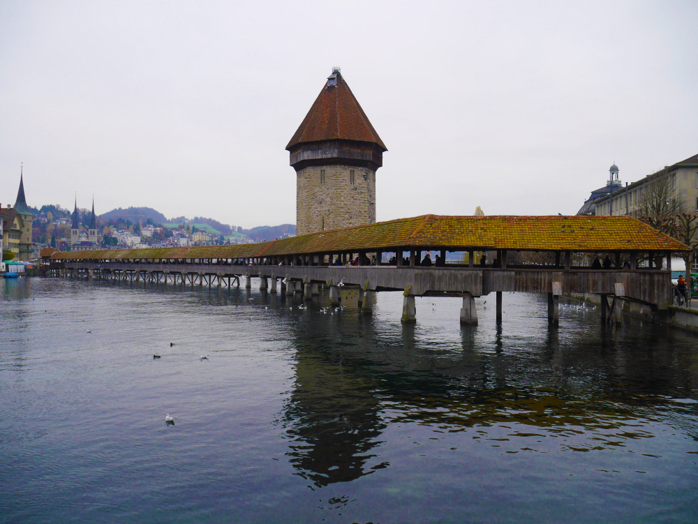 lucerne 1