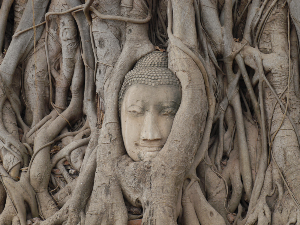 ayutthaya templos tailandia
