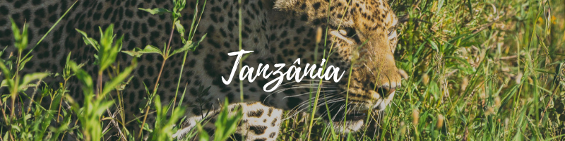 tanzania viajar